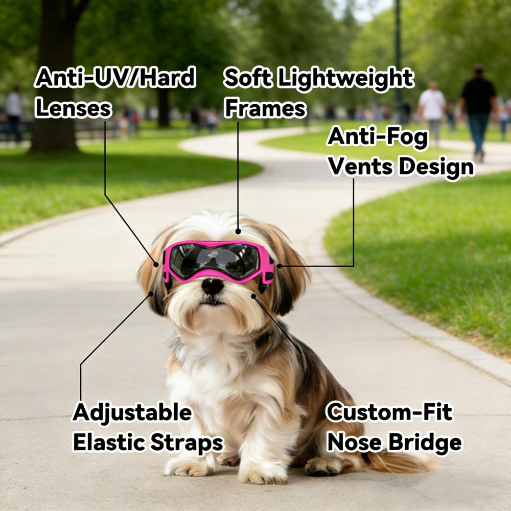Lunettes Enjoying pour petit chien, ouvertures d'aération anti-buée.