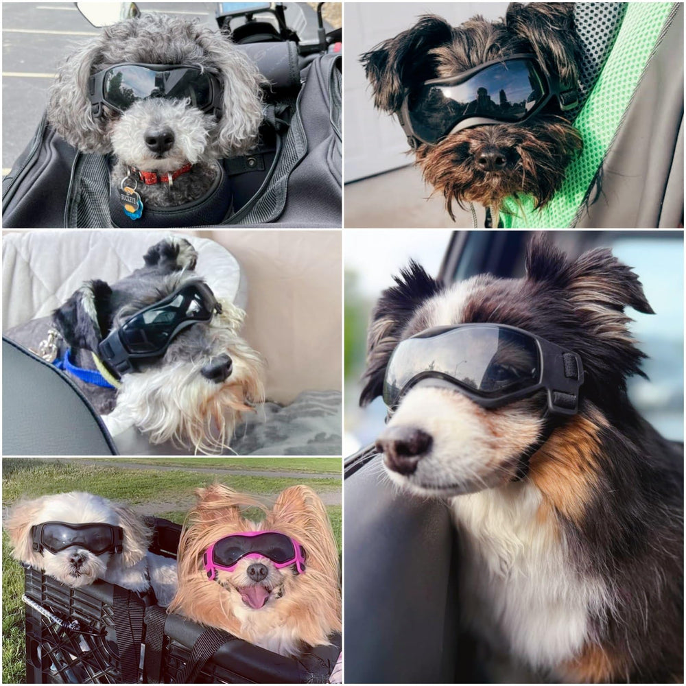 Enjoying lunettes chien petit protection UV pour les yeux
