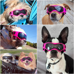 Lunettes Enjoying pour petit chien, verres UV, protection oculaire lors des promenades.