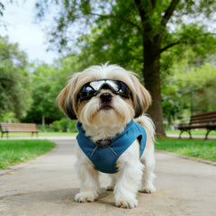 Enjoying lunettes chien ventilation anti-brouillard pour vision claire.