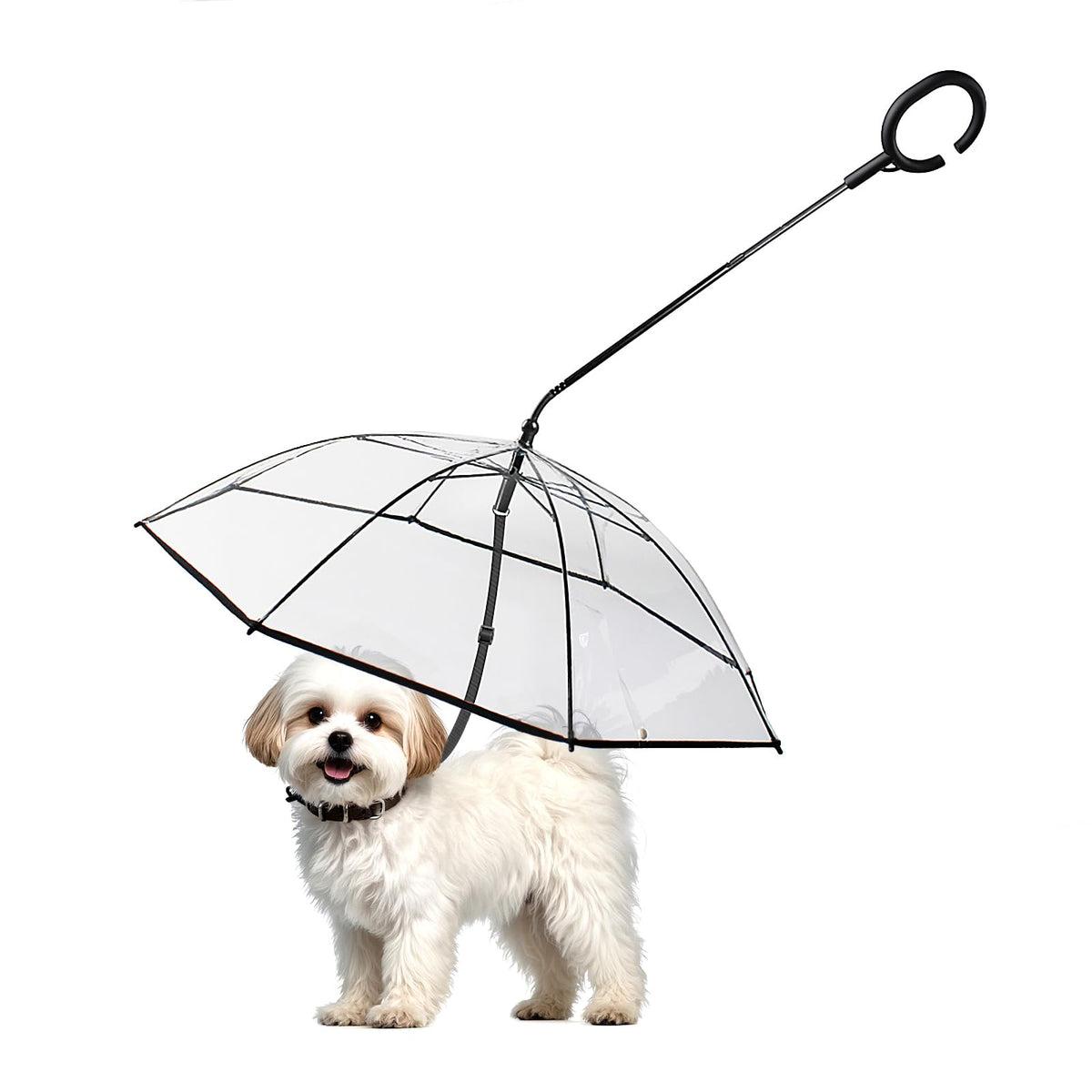 Parapluie Enjoying pour petit chien, protection pluie lors des balades.