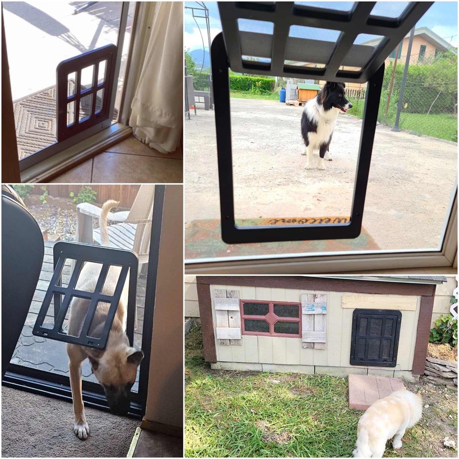 Volet magnétique Enjoying basculant, mouvement fluide pour animaux