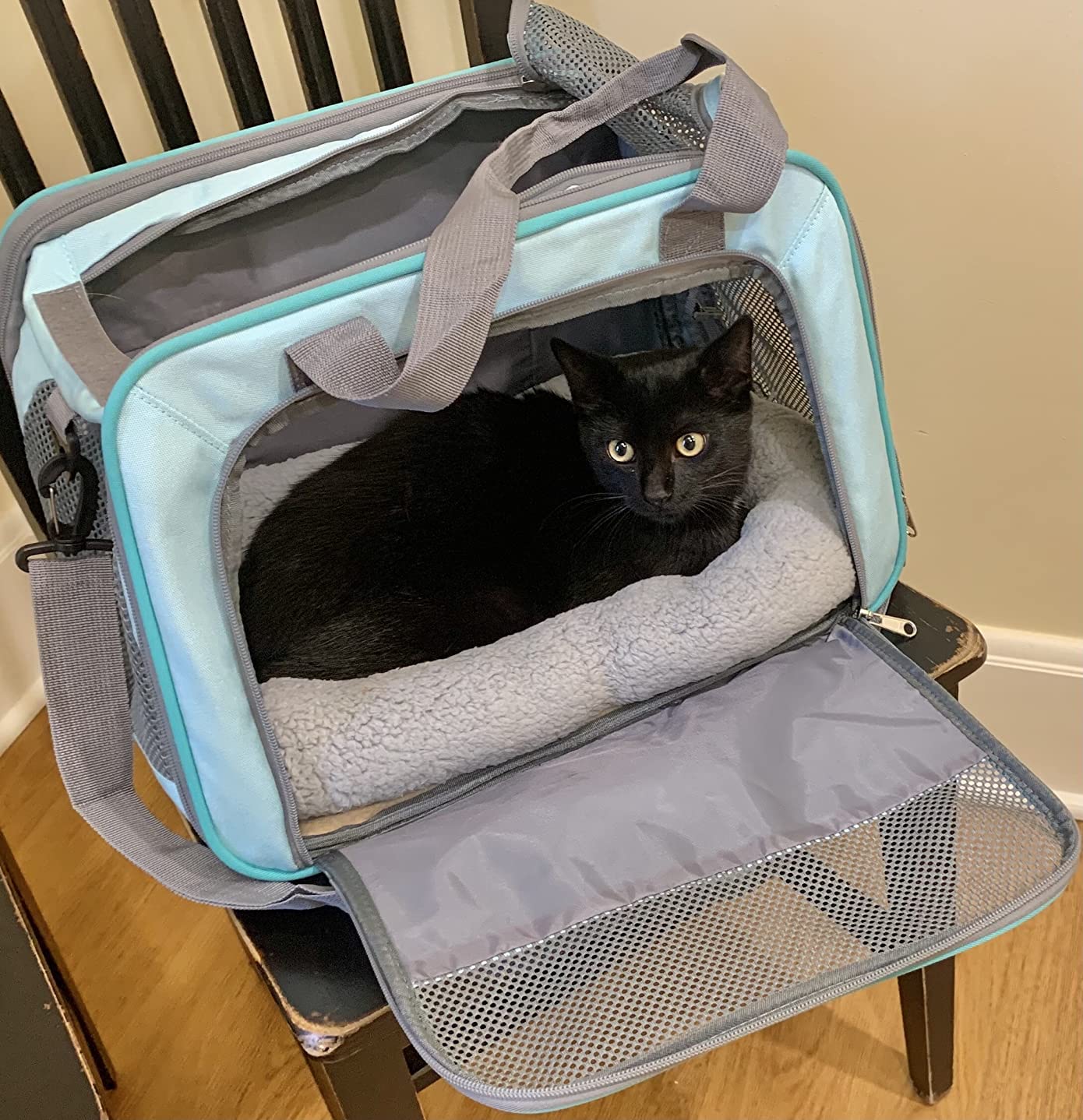 Enjoying Cat Mat Bed dimensions intérieures 7x13 pouces pour petits compagnons.