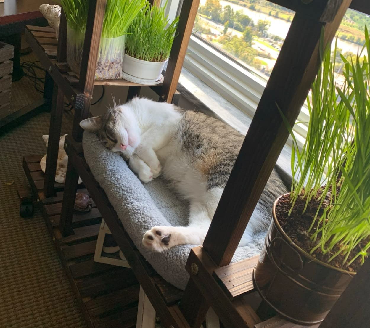 Enjoying Cat Mat Bed sangle de portage pratique pour transporter facilement.