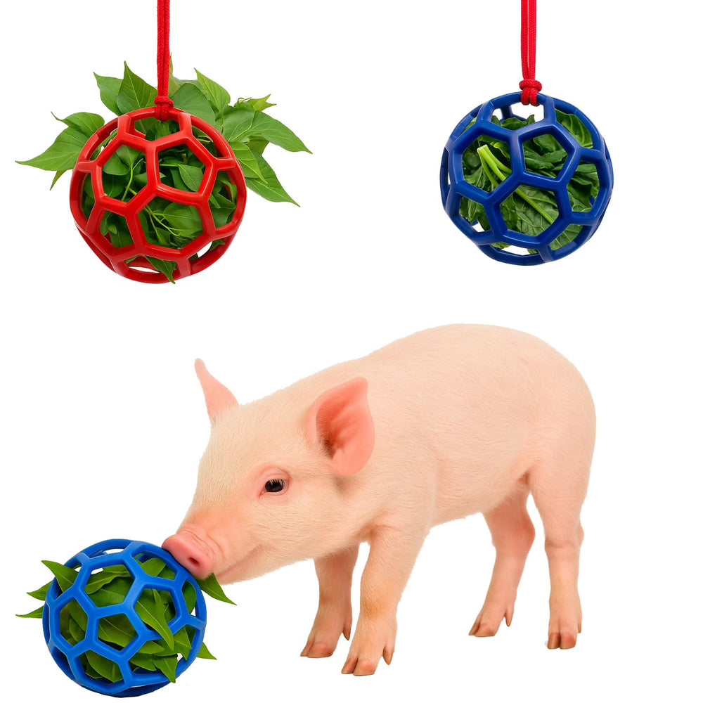 Balle friandise Enochainchin bleu pour cochons – stimulation et divertissement