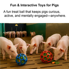 Balle friandise Enochainchin rouge pour cochons – distraction et jeu