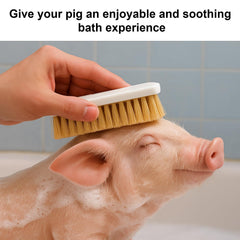 Cochon utilisant la brosse Enochainchin en plein air, stimulation et divertissement.