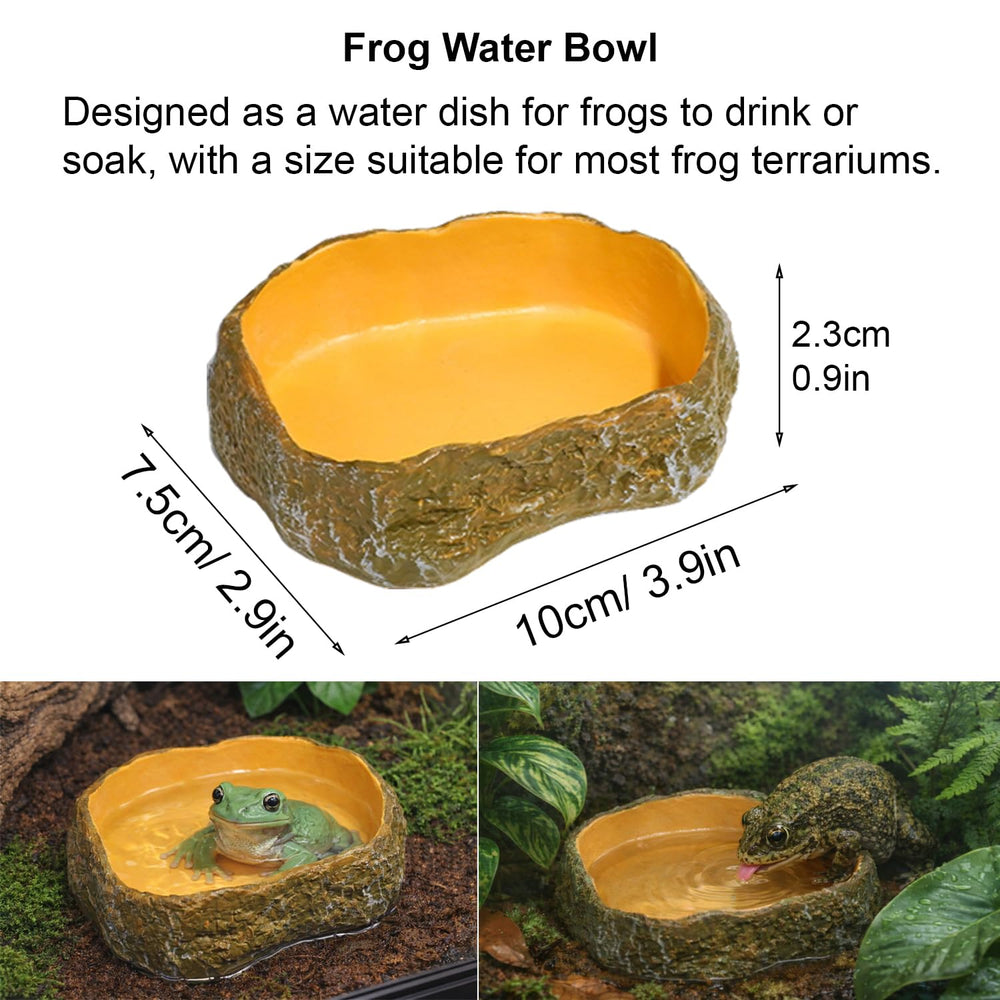Enochainchin plat-nourriture-angle-grenouille : alimentation facile et optimisée