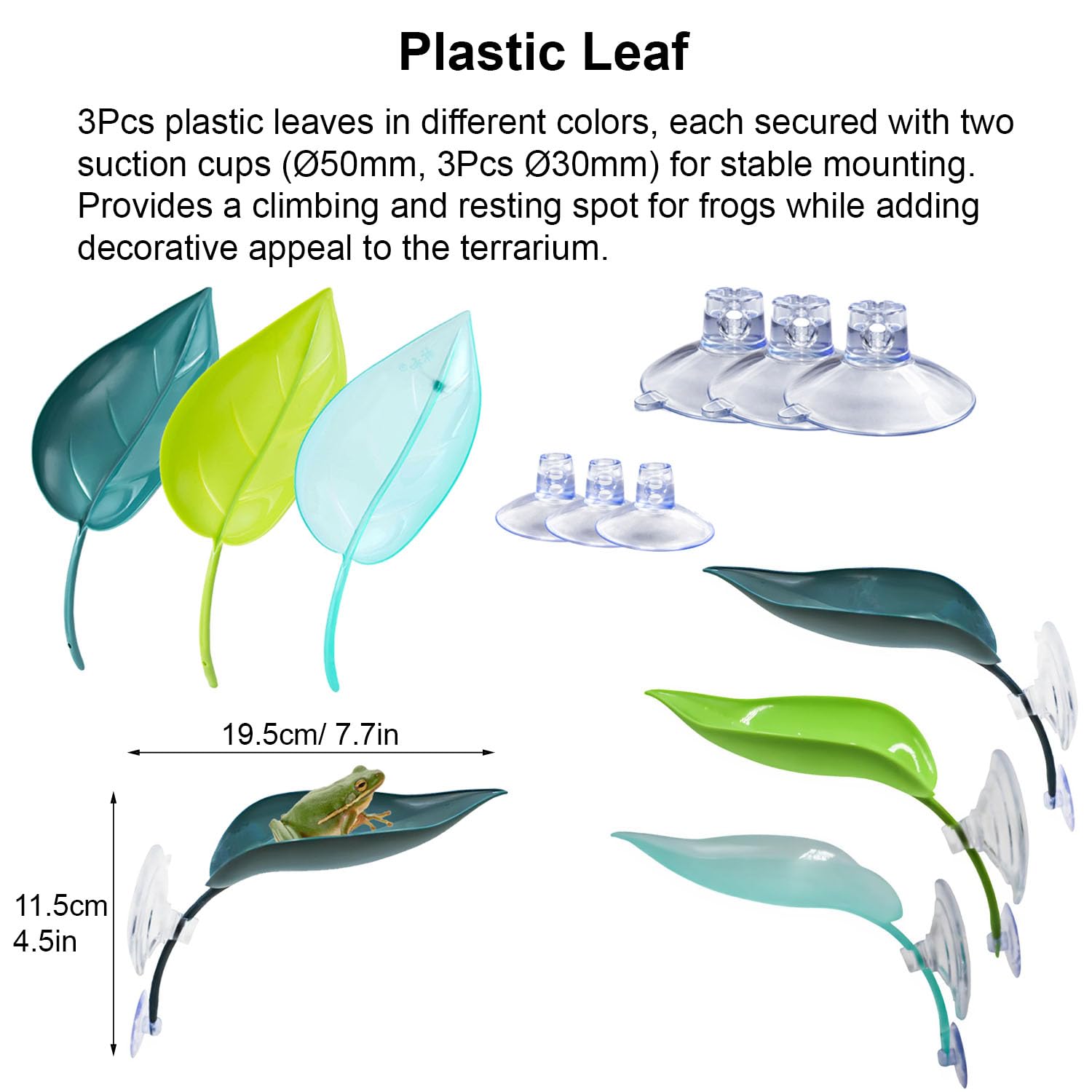 Enochainchin vigne-feuille-72-feuilles : surfaces verticales pour grimper et se reposer