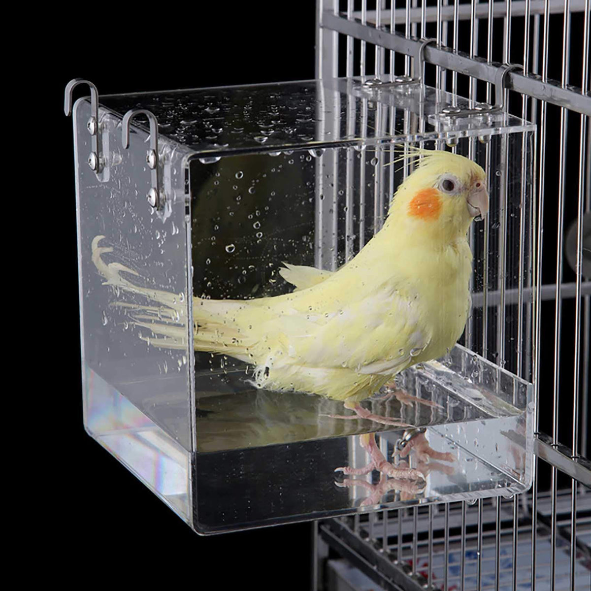 EnoYoo Baignoire pour oiseaux – Douche portable pratique pour cages et bains
