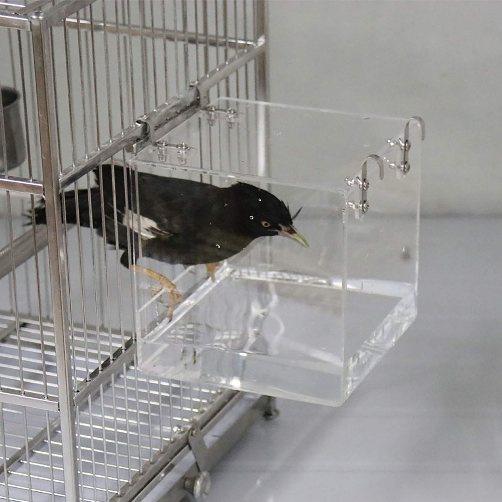 EnoYoo Baignoire – Idéale pour petits oiseaux et perruches