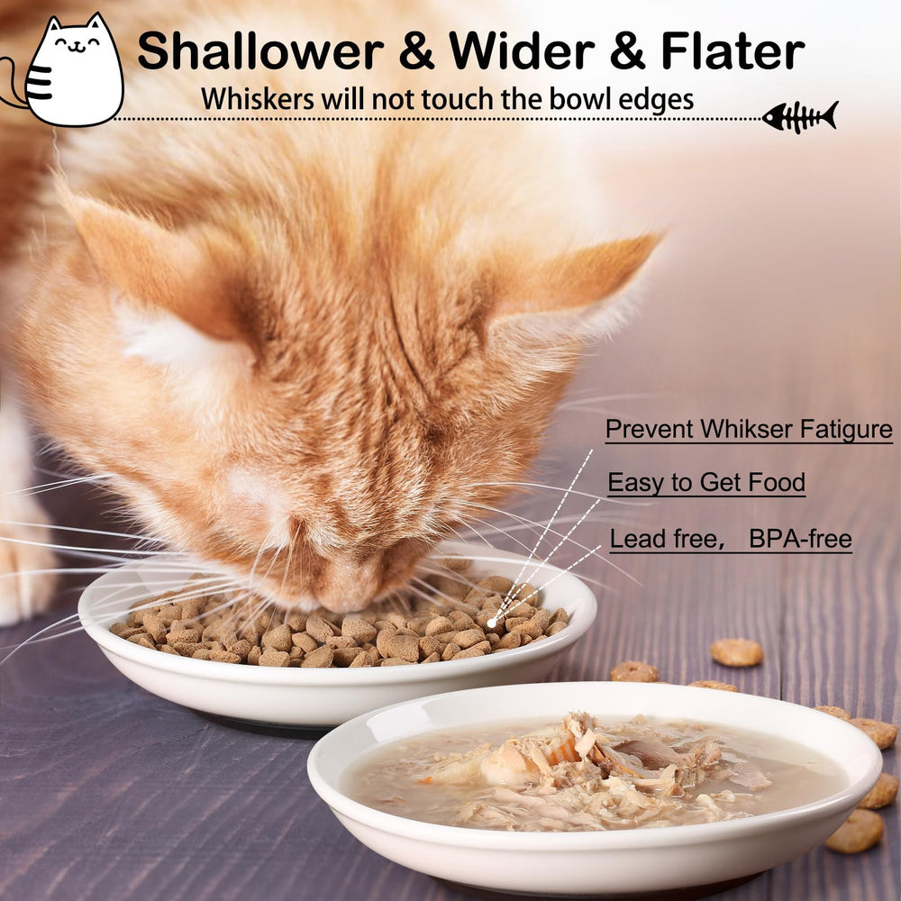 Ensemble de 3 mangeoires WROSWT: idéal pour chats d’intérieur.