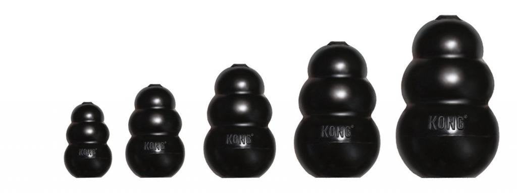 Ensemble deux jouets Kong Extreme grand format, idéal pour chiens de tous âges.