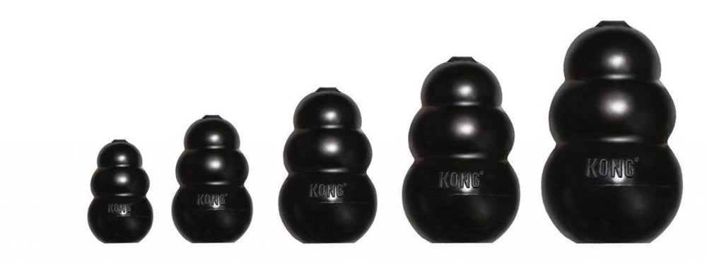 Ensemble deux jouets Kong Extreme grand format, idéal pour chiens de tous âges.