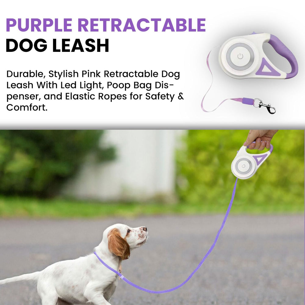 Ensemble violet de quatre pièces, accessoire complet pour les sorties