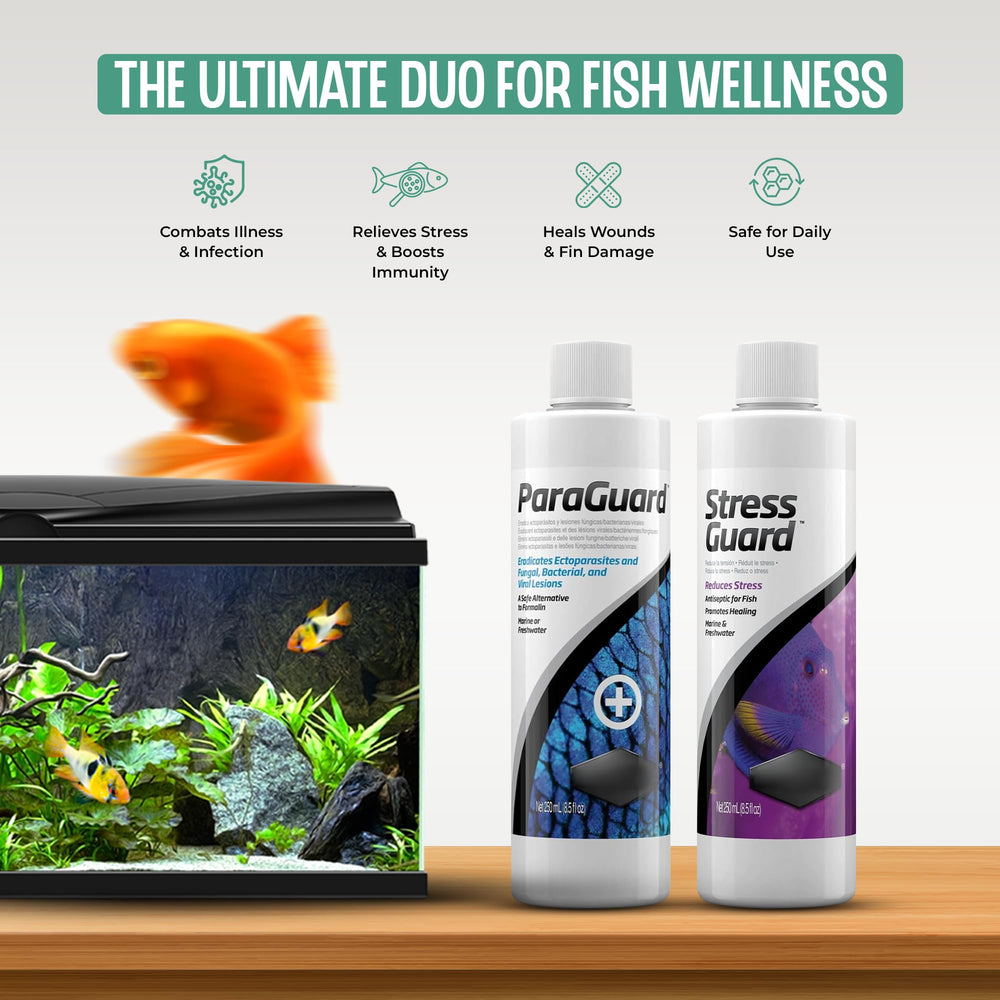 Ensemble Paraguard et StressGuard – vue d'ensemble pratique pour l'entretien de l'aquarium