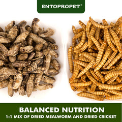 Entopropet larves sèches nutrition: calcium et protéines pour compléter l'alimentation.