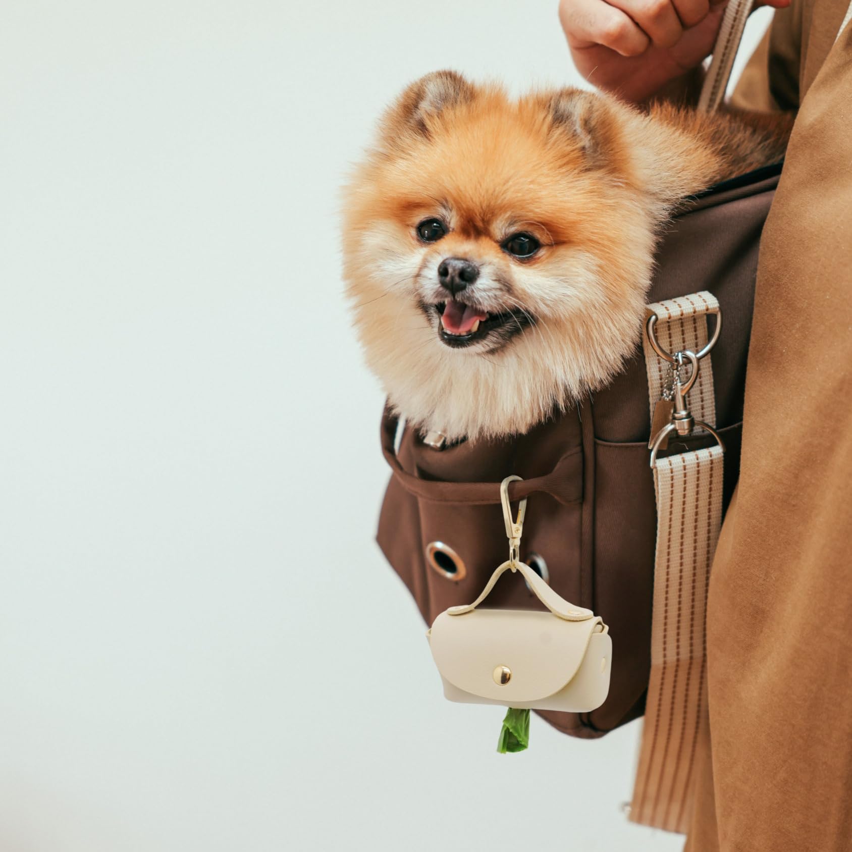 ENWIQUE Attache-laisse rapide, design compact et pratique.