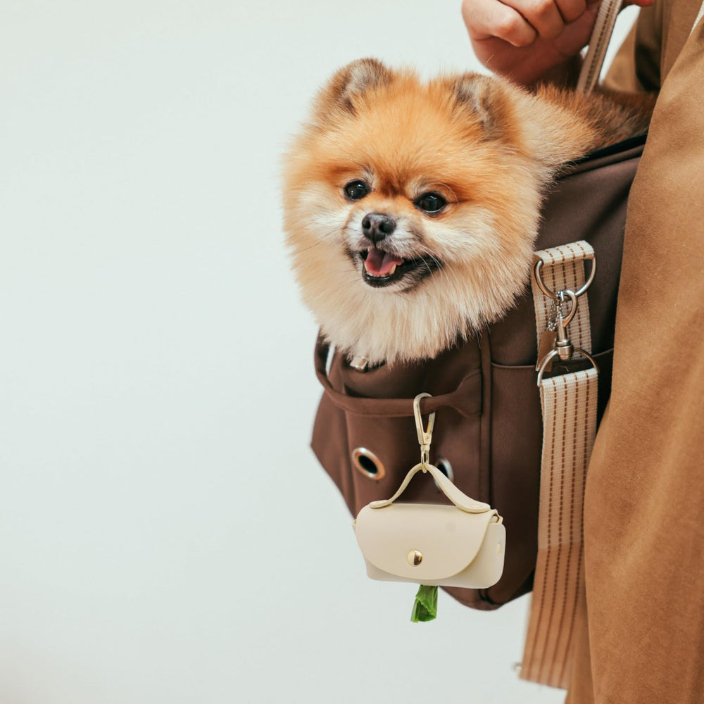 ENWIQUE Attache-laisse rapide, design compact et pratique.