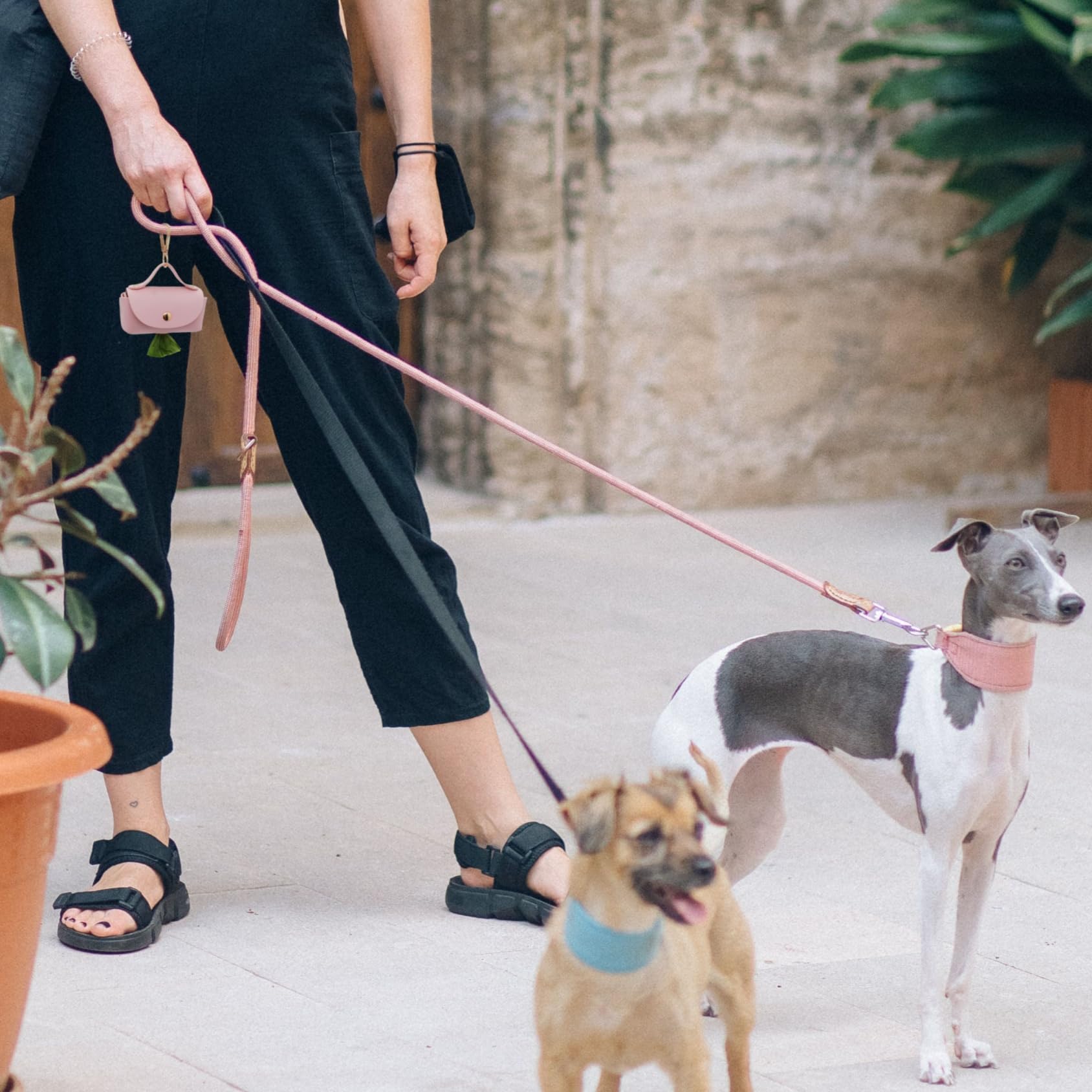 ENWIQUE distributeur sacs crottes design luxe rose, toucher premium