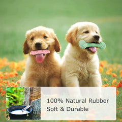 ENZZROA jouet dentition chien haltère texture idéale pour mastiquer.