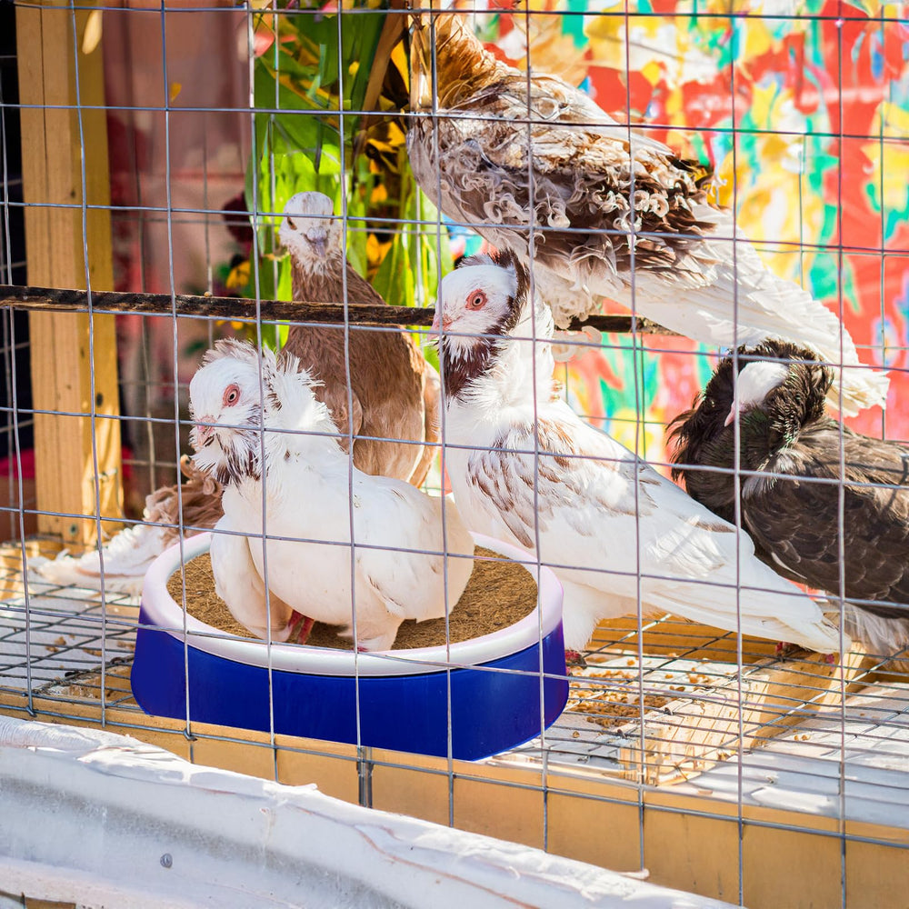 Eorbow: usage polyvalent pour pigeons, perruches et petits animaux.