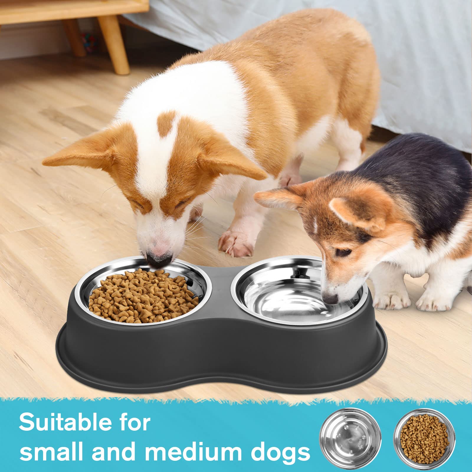 Utilisation quotidienne pratique pour chiens et chats avec EpetsLove