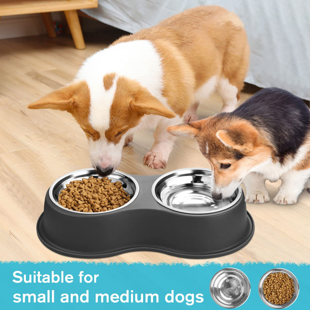 Utilisation quotidienne pratique pour chiens et chats avec EpetsLove