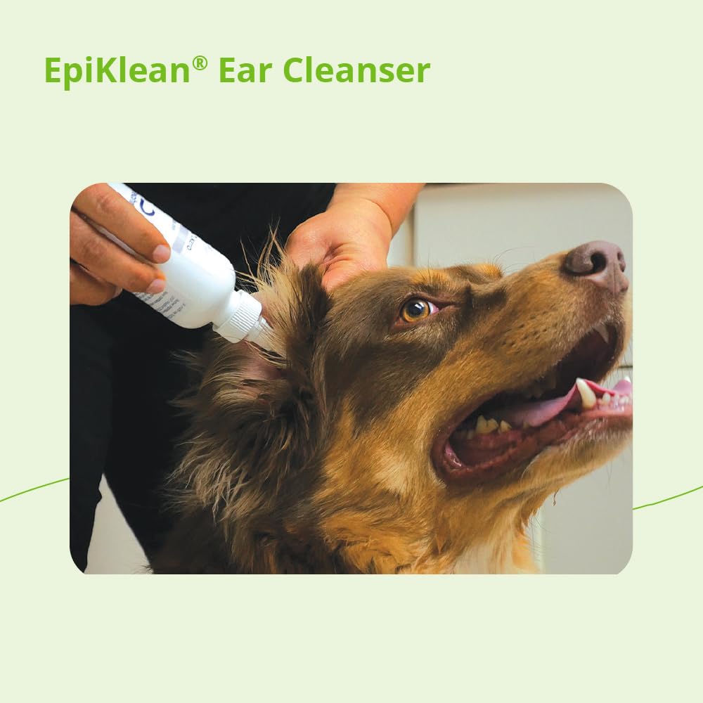 EpiKlean en action, oreille propre et sèche.