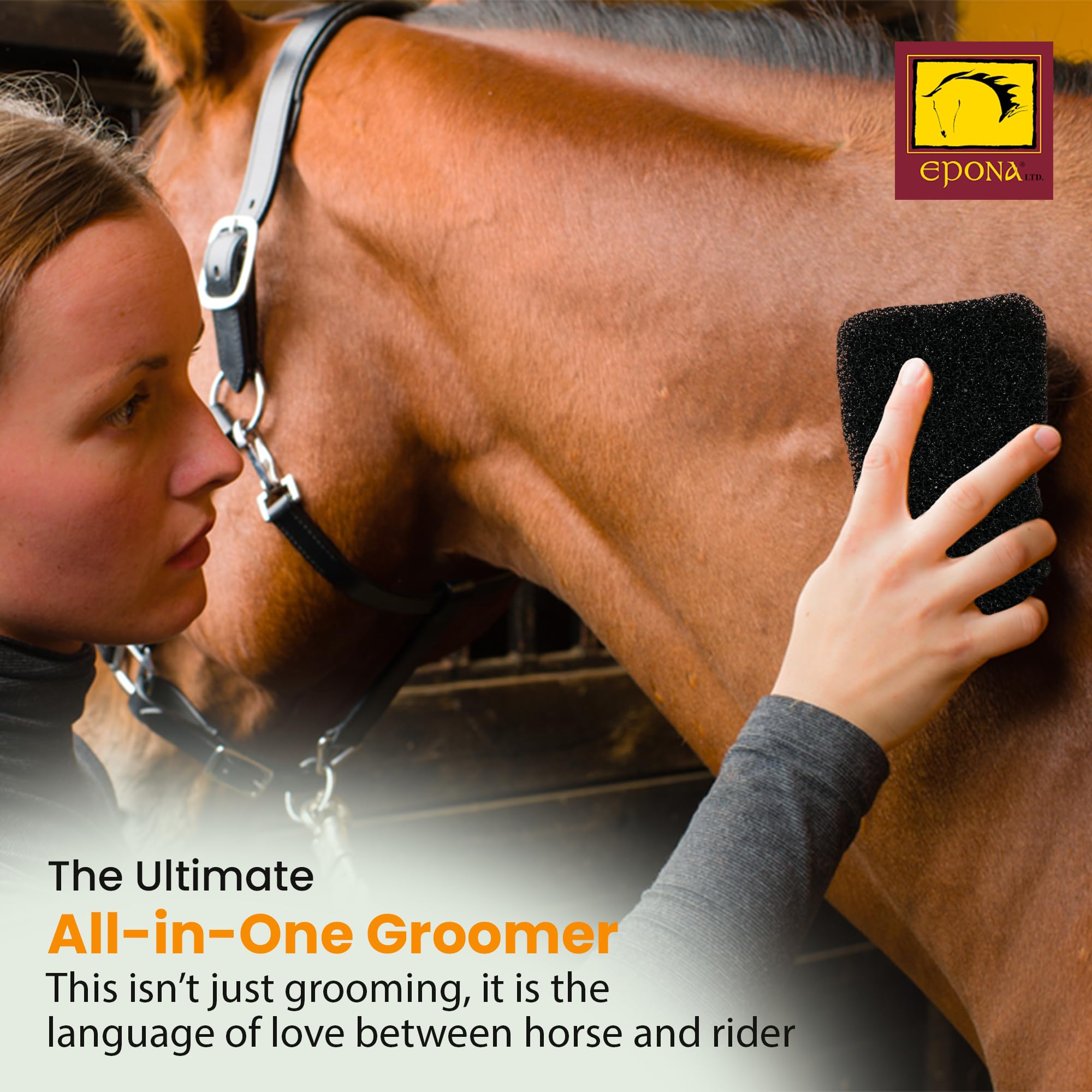 Epona Application sur le Corps – toilettage en douceur sur le corps du cheval.