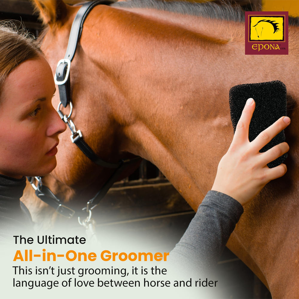 Epona Application sur le Corps – toilettage en douceur sur le corps du cheval.