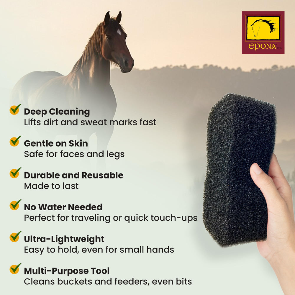 Epona Brillance Marques Blanches – ravive l’éclat des marques blanches.
