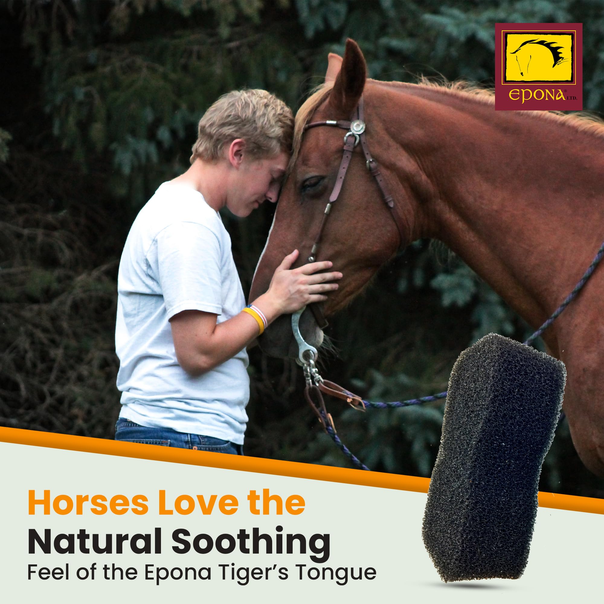 Epona Massage Muscles – massage des muscles pendant le brossage pour le confort.