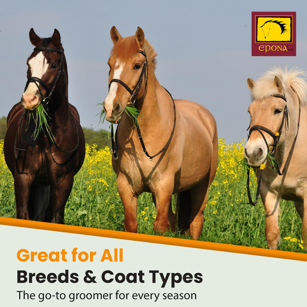 Epona Propreté Sans Poussière – grooming sans poussière pour cheval et cavalier propres.