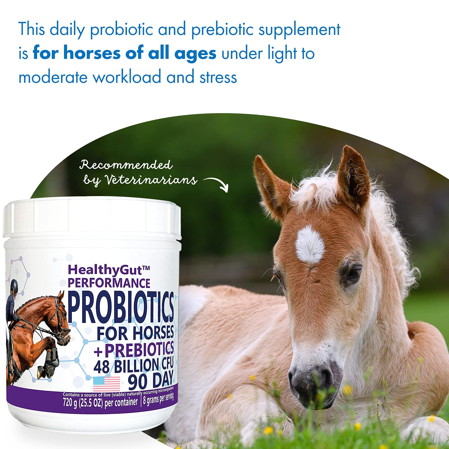 Equa Holistics HealthyGut, dosage quotidien selon le poids du cheval