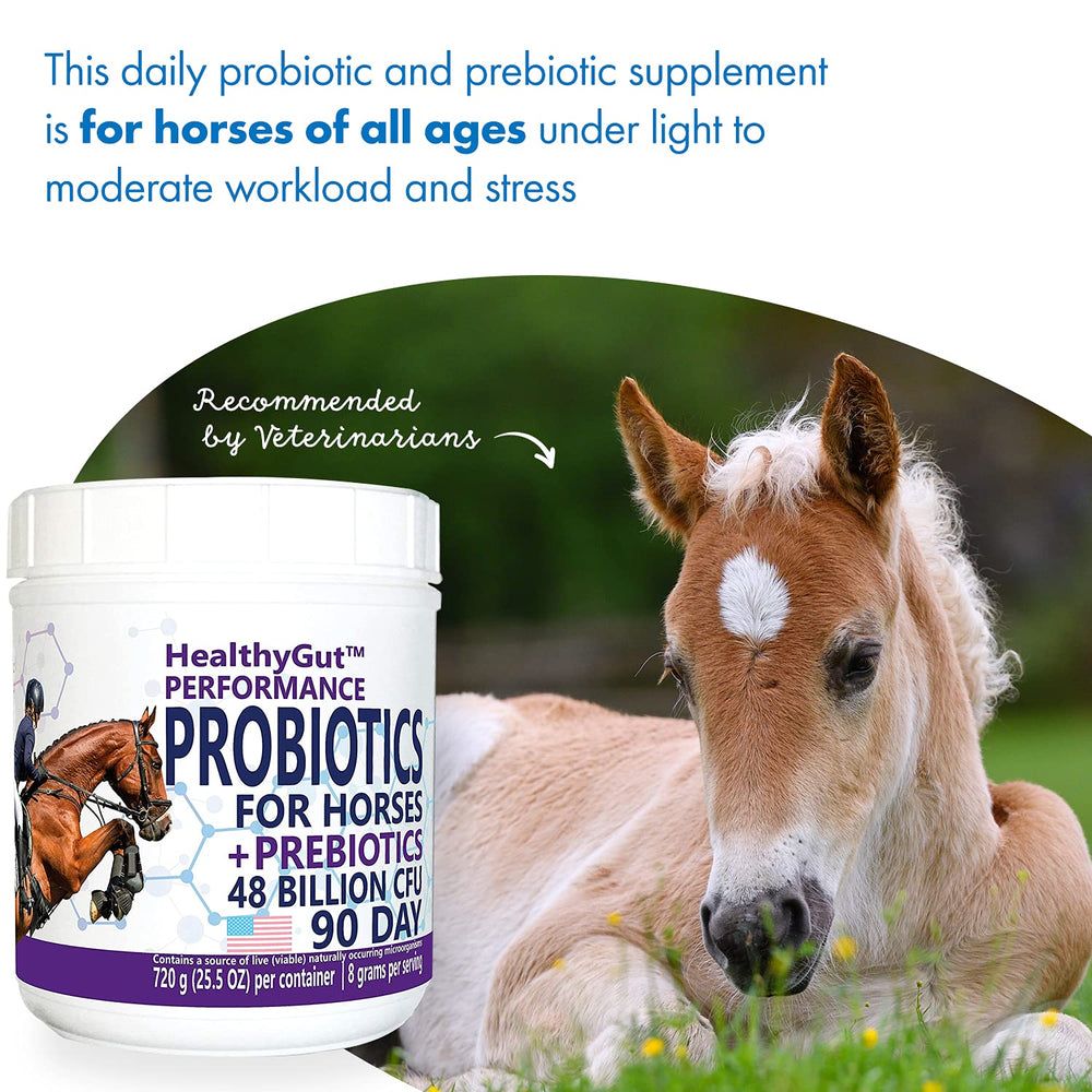 Equa Holistics HealthyGut, dosage quotidien selon le poids du cheval
