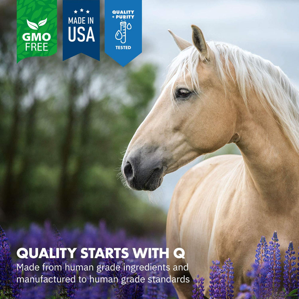 Équa Holistics Doseur-poudre-chevaux sur nourriture facilite l'apport quotidien.