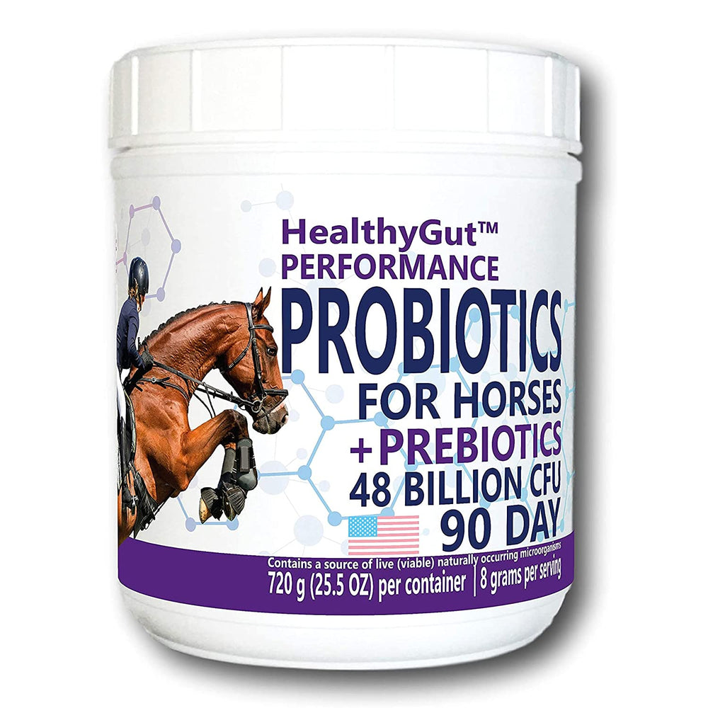 Equa Holistics HealthyGut, poudre sur nourriture, soutien digestif quotidien pour cheval