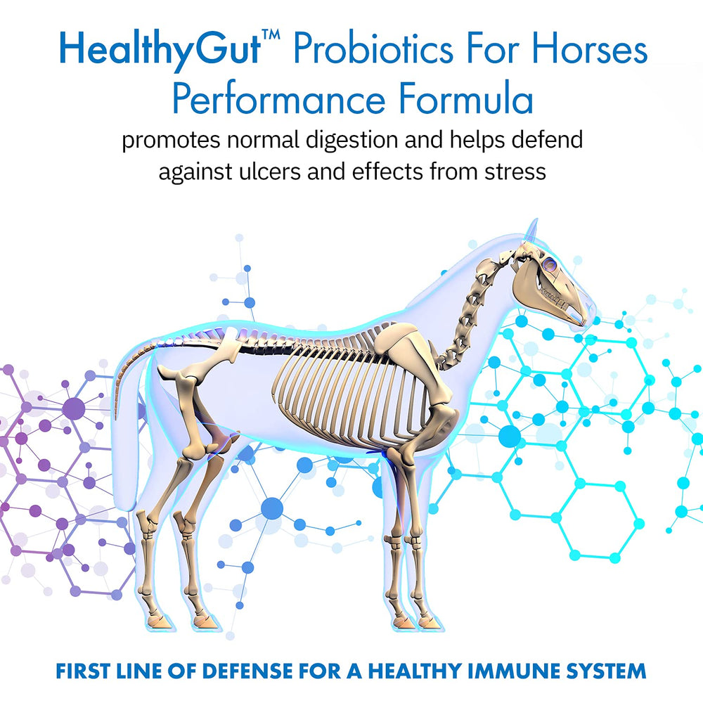 Equa Holistics HealthyGut, 20 especes probiotiques, diversité pour l’équilibre digestif