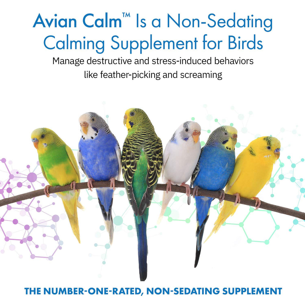 Sachet Avian Calm pratique pour perroquets en déplacement.