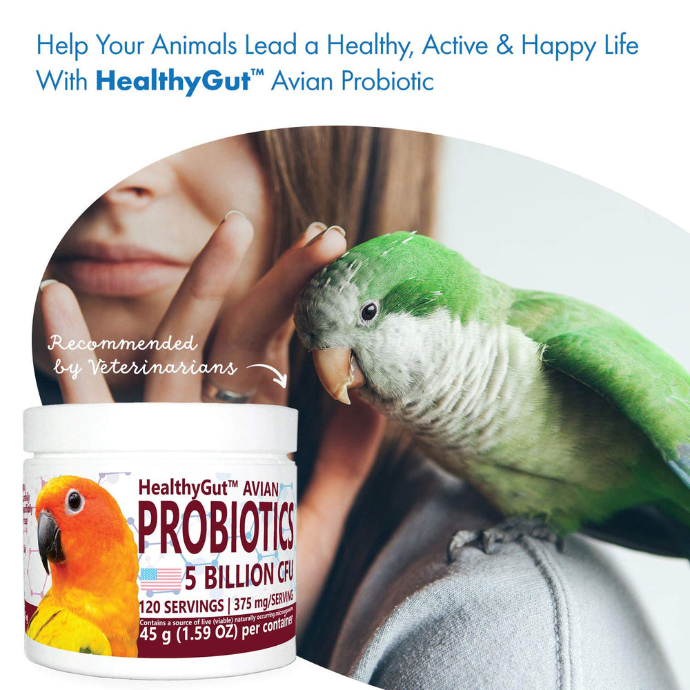 Conditionnement USA Equa Holistics HealthyGut garantissant des ingrédients de qualité et des contrôles stricts.