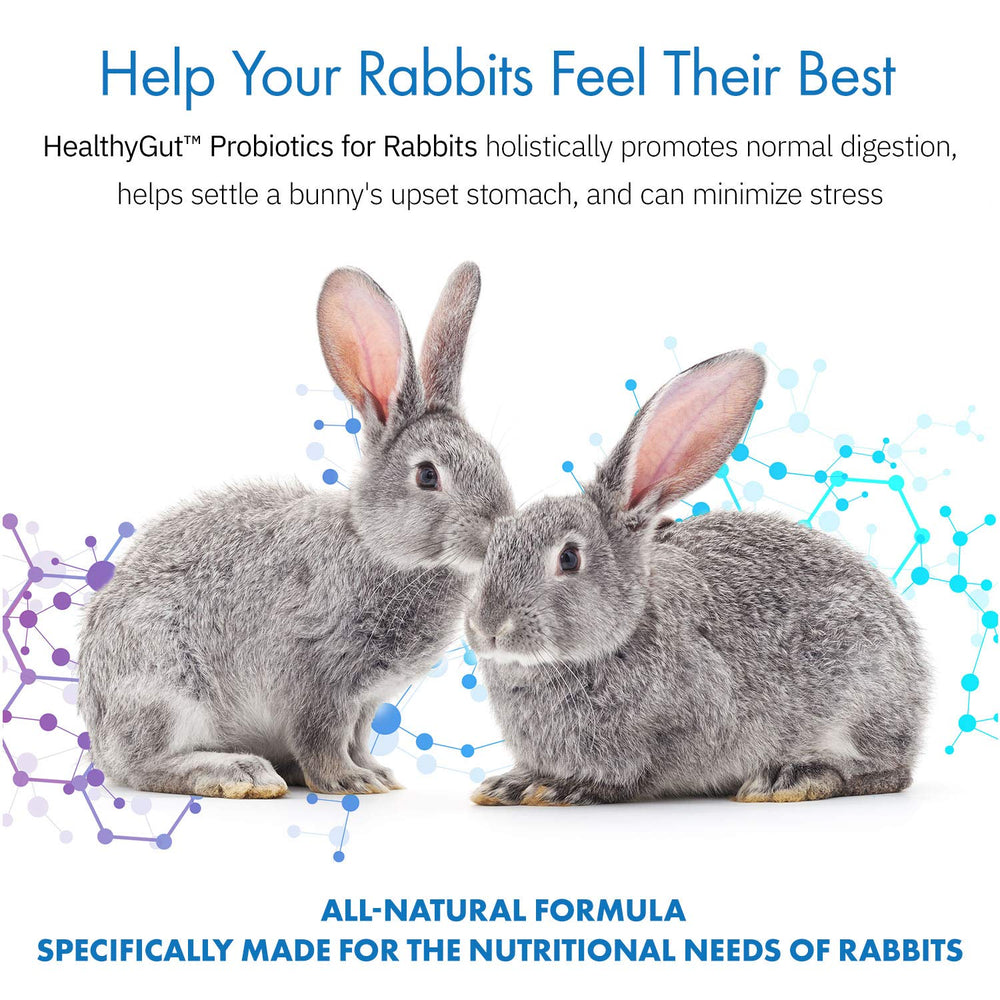 Poudre HealthyGut facile à mélanger à l'alimentation du lapin pour une utilisation pratique.