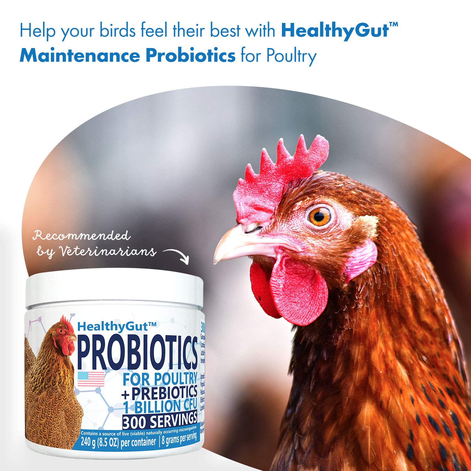 Equa Holistics HealthyGut Probiotics: mélange naturel de prébiotiques et probiotiques pour volailles