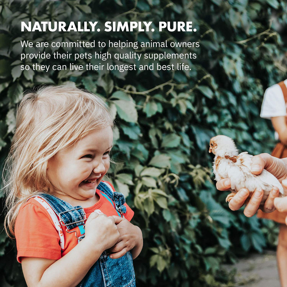 Equa Holistics HealthyGut Probiotics: emballage sûr et 30 portions faciles à distribuer