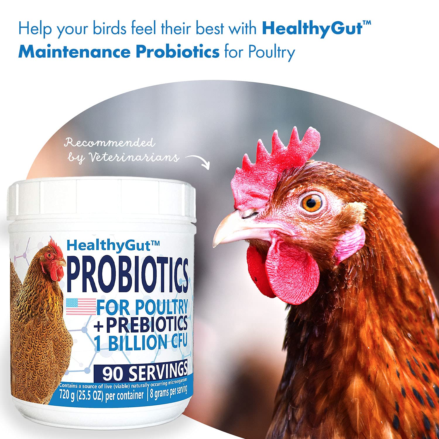 Equa Holistics HealthyGut Probiotics – poulets au quotidien pour une digestion équilibrée