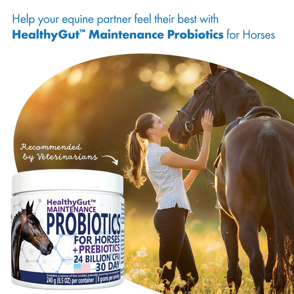 Lait de jument ajouté par Equa Holistics HealthyGut, douceur naturelle et soutien nutritionnel.