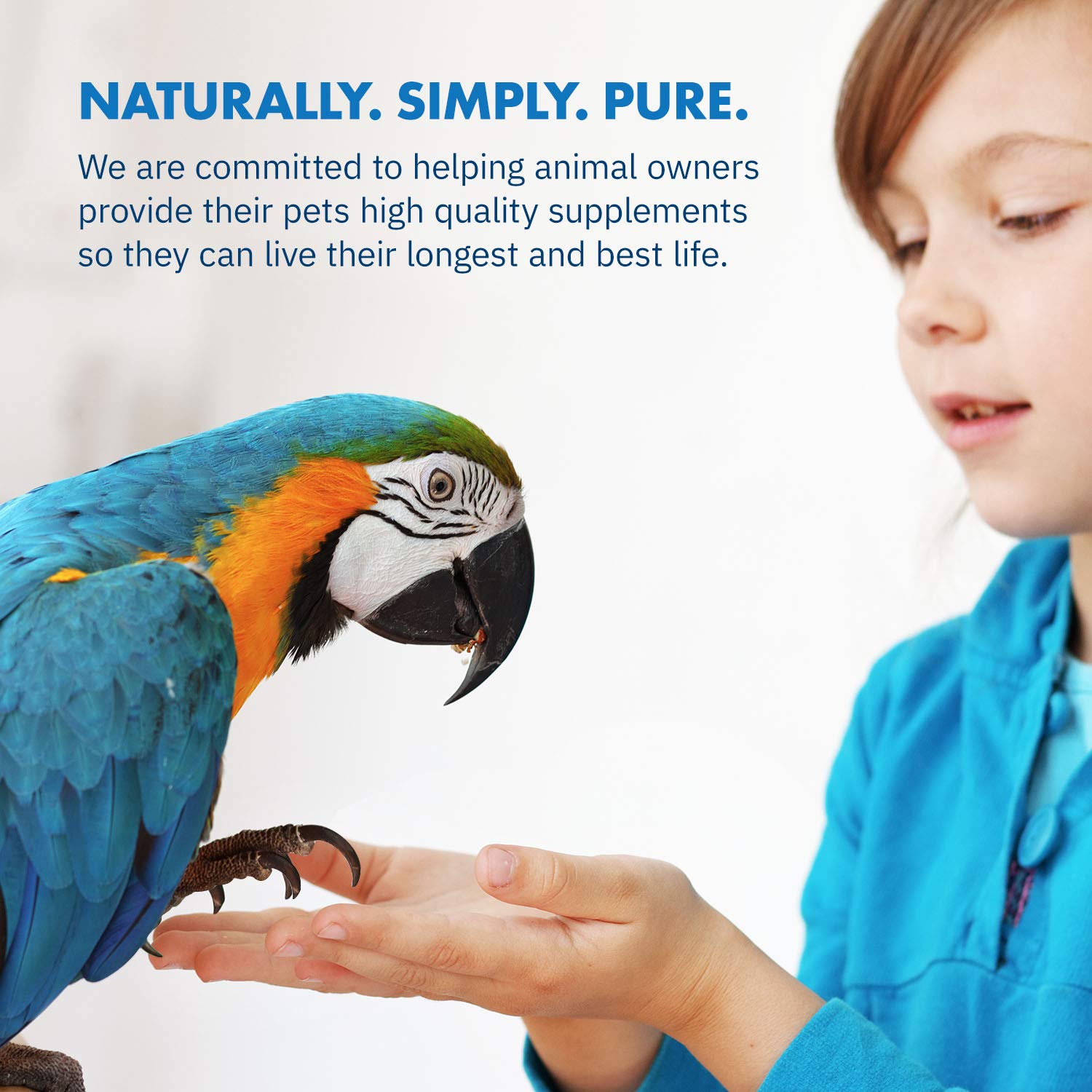 Usage quotidien Equa Holistics HealthyGut pour aider la digestion et réduire le stress chez l'oiseau.