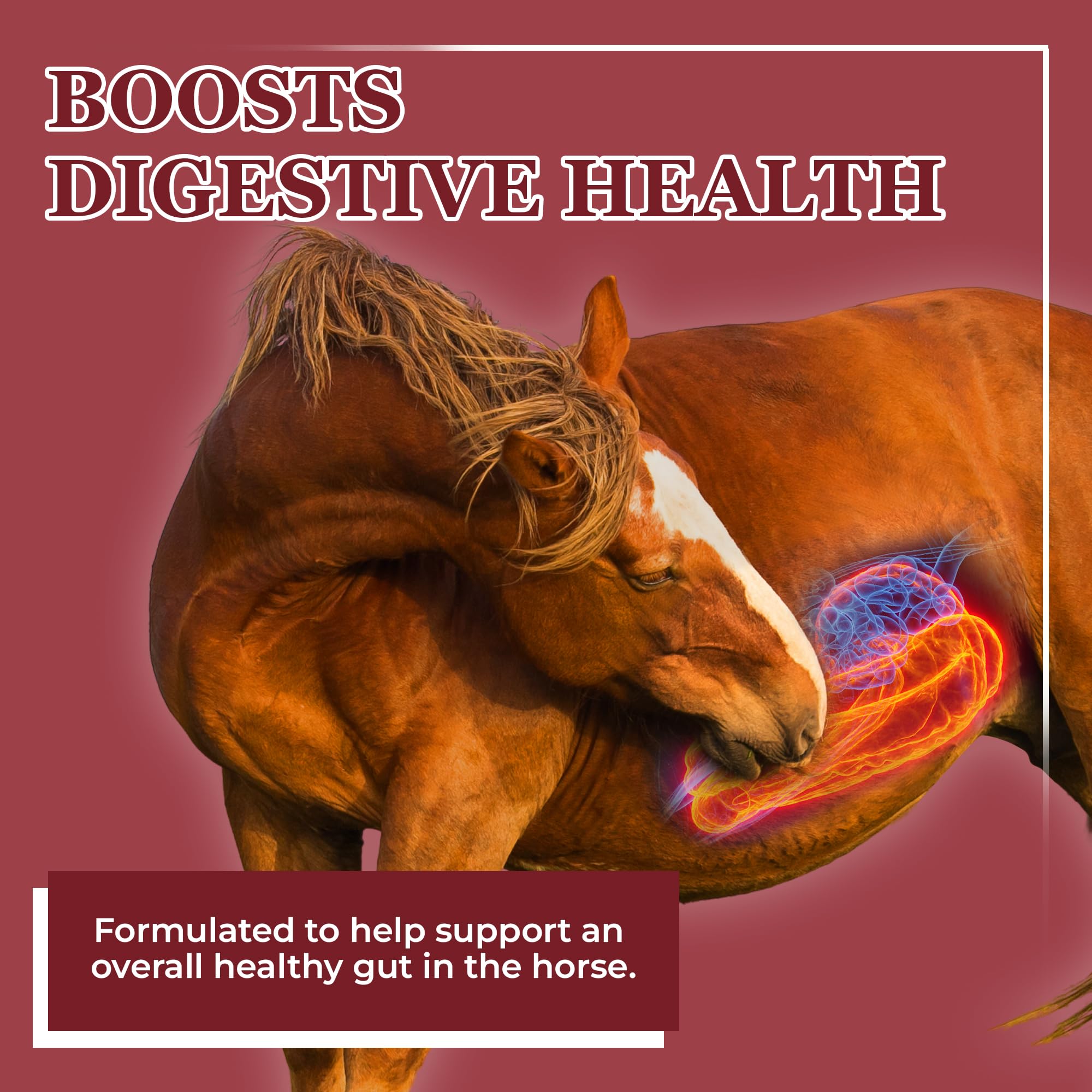 Equerry's Better Horse Belly avec doseur intégré pour doser facilement la portion quotidienne.