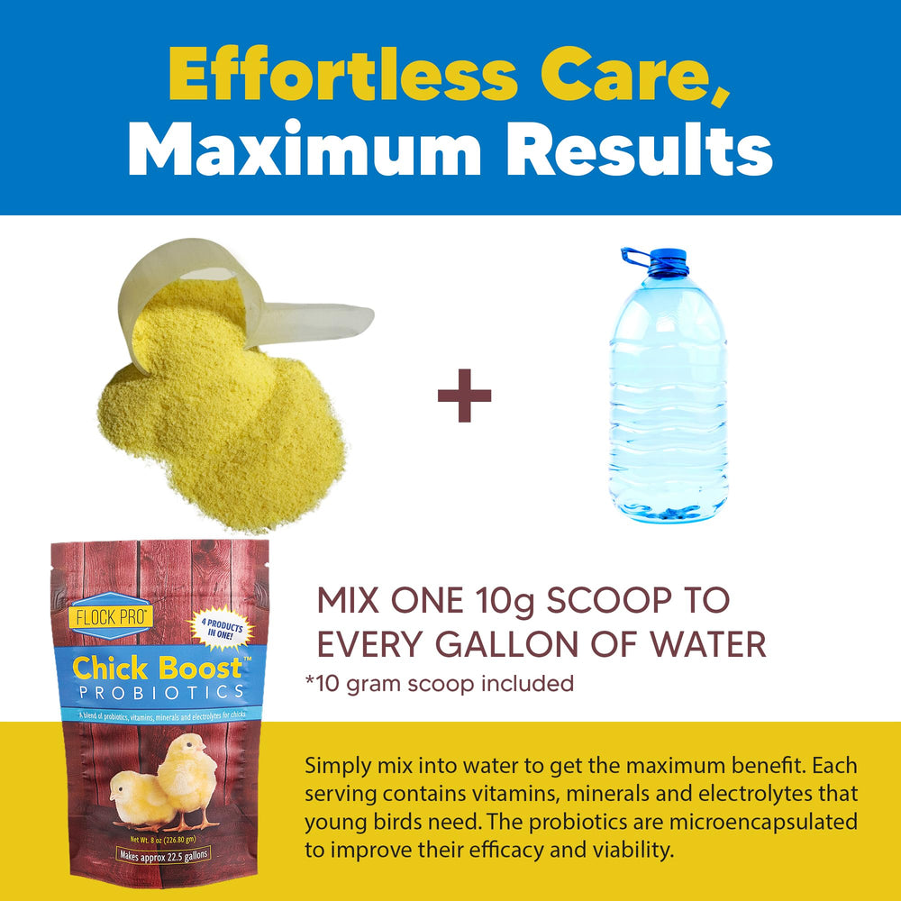 Equerry's Chick Boost apporte vitamines, minéraux et électrolytes essentiels.