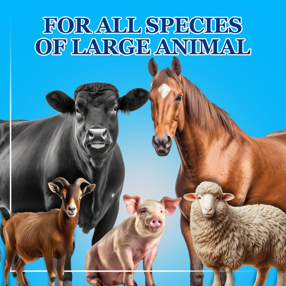Vache et autres grands animaux, absorption des nutriments améliorée.